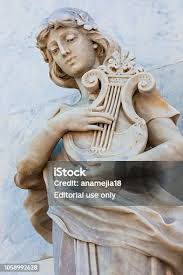 Image result for Terpsichore cultrata