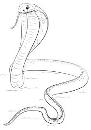King Cobra Coloring Page Snake Drawing Snake Coloring Pages Drawing Tutorial