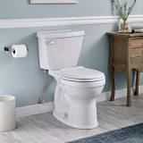 Flushing Out the Facts: Kate Campbell's Comprehensive Toilet ...
