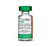 Purevax® Fel V | Boehringer Ingelheim SA