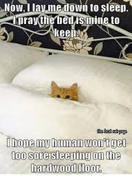 Pin On Good Night