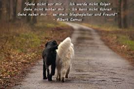 Hunde Sprüche U Zitate Sammlung Pela Fotografies Webseite