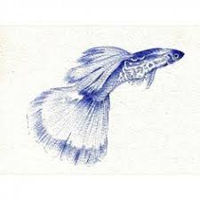 Die 38 Besten Bilder Von Dragonfly Arts Design Ballpen Illustration In 2019 Libellen Kunst Illustration Und Kugelschreiber