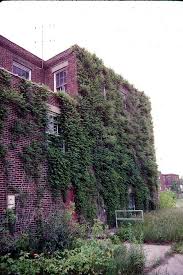 Lapeer State Home Pic From Before Demolition Began Lapeer Michigan Home Pictures Pure Michigan