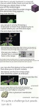 Maybe you would like to learn more about one of these? Felix There Is Actually Backbacks In Minecraft They Are Called Shulker Boxes And Look Like This The Way You Obtain Them Is That You Kilf The Enderdragon After You Have Killed The
