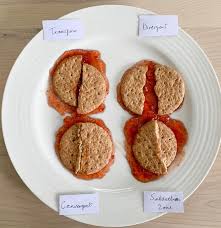 Simulation Tectonic Plates Continental Drift Resources Marshmallows Graham Craft Idea Activity Exp Tectonic Plates Activities Plate Tectonics Continental Drift