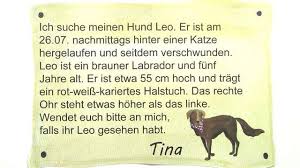 Maybe you would like to learn more about one of these? Einen Tiersteckbrief Verfassen Erklarung Ubungen
