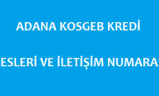 Kosgeb Adana Adresleri Ve Iletisim Numaralari Iletisim Saglik Finans