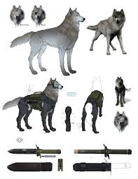 D Dog Art From Metal Gear Solid V Art Artwork Gaming Videogames Gamer Gameart Conceptart Illustration Metalgears Dog Armor Character Design Metal Gear