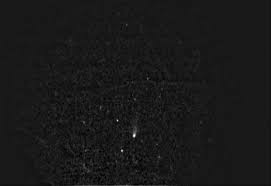 Image result for Irish White 1980 Comet Overnight Transport