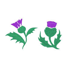 Free Free 321 Svg National Flower SVG PNG EPS DXF File
