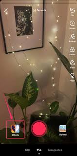 How To Use The Green Screen Effect On Tiktok