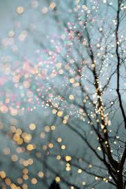 Twinkle Lights Photography For Inspiration Photography Graphic Design Junction Fairy Lights In Trees Fine Art Landscape Winter Photography