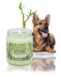 5 thoughts i had while streaming the 'loki' season finale Specialty Pet Products Jar Candles