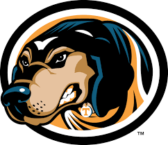 Check spelling or type a new query. Tennessee Vols Football Logo N4 Free Image Download