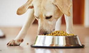 Each offers exceptional quality at an affordable price. Sam S Club Has The Lowest Prices On Pet Food According To A New Report