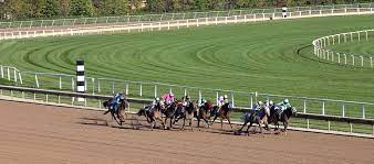Horse Racing Track Reeders Co Uk