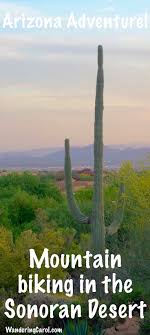 If you want to experience the variety of cactus plants that can be found in the scottsdale area then spend a couple of hours at this site. Scottsdale Mountain Biking Adventure Four Seasons Troon North