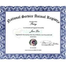 Emotional support animals help their owners deal with their mental health disability by offering comfort and support through companionship, a focus in life, affection, and positive regard. Emotional Support Dog Kit Esa Registration Nsar