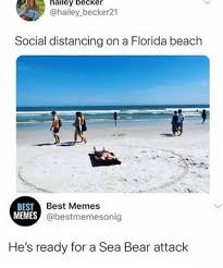 Epi Social Distancing On A Florida Beach He S Ready For A Sea Bear Attack Ifunny Hood Memes Stupid Funny Memes Funny Relatable Memes