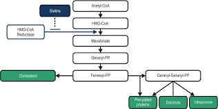 Scientific Opinion On The Safety Of Monacolins In Red Yeast