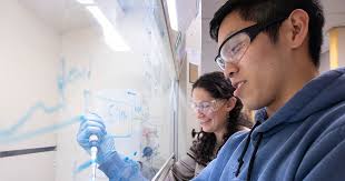 What Proposed NIH Cuts to Scientific Research Mean for Brandeis