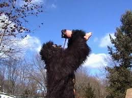 Bigfoot Moves In Next Door In “Suburban Sasquatch” | Trash Film Guru