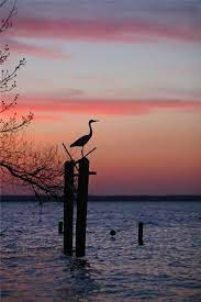 How To Create A Professional Landscape Photograph Landscape Photography Landscape Photography Tips Landscape