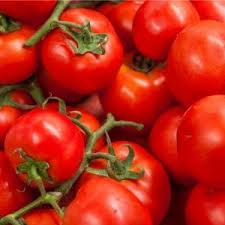 best natural fertilizer for tomatoes