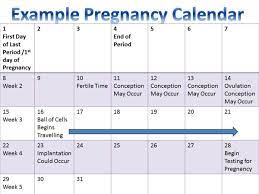 Am I Pregnant Or Is My Period Just Late Wehavekids