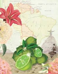 Mit diesen 8 varianten kannst du deine caipirinha in geschmacklich neue richtungen lenken. Problemdrink Caipirinha Eine Analyse Des Cocktail Bestsellers Mixology Magazin Fur Barkultur