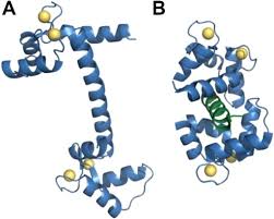 Image result for Mibefradil