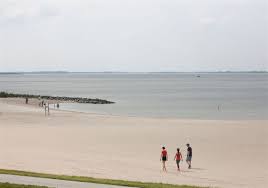 Maybe you would like to learn more about one of these? Another Bacteria Spike At Maumee Bay State Park S Lake Erie Beach The Blade