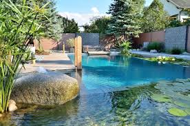 Biotop Swimming Teich Schwimmteich Naturschwimmbecken Naturschwimmbader