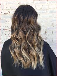 When it comes to the hair game, asian women have the advantage of being born with beautiful silky black strands. Amazing Asian Hair Color Trends Gallery Of Hair Color Style 2020 219863 Hair Color Ideas