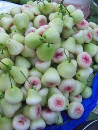 Pin On Tropical Fruits
