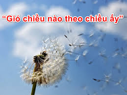 [Hình: images?q=tbn%3AANd9GcRcMC9JC8GFA-kBHBziw...Q&usqp=CAU]