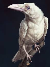 Black And White Raven Art Artstation White Crow Sergey Yakovlev Rimkello In 2020 Crow Art White Crow Black Crow Tattoos