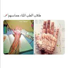 Pin By Roody Art On Funny Funny Study Quotes Fun Quotes Funny Funny Arabic Quotes