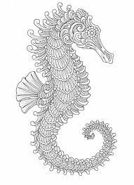 More 100 coloring pages from animal coloring pages category. Printable Seahorse Coloring Pages For Adults Novocom Top