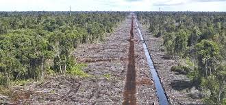 Stocks related to plantation and cpo in bursa malaysia. Wetlands International Warns For Massive Land Subsidence In Rajang River Delta East Malaysia Dutch Water Sector