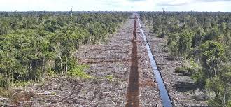 Ministry of plantation industries and commodities (mpic) no. Wetlands International Warns For Massive Land Subsidence In Rajang River Delta East Malaysia Dutch Water Sector