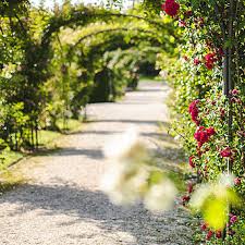 Find the perfect garten foto stock photo. Britzer Garten