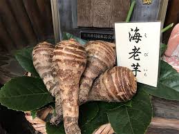 (comic1☆15) hr (本領はなる) にたものどおし4.5 ラブホアフターストーリー. ä¸¸å±±å¬å'è¿'ã ããã¼ãå¹³éå®¶ æ¬å®¶ã¨æ¬åº äº¬æçããã¼ãã'ããã ã æ®ããã®ã¯ãªãã