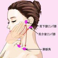 ボード ストレッチ のピン