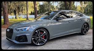 Image result for Daytona Gray 2021 S5