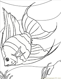 I initially saw all the craziness adult coloring pages created all around the world and i remember reading an article about the millions of coloring books sold last years. Angelfish Ink Coloring Page For Kids Free Other Fish Printable Coloring Pages Online For Kids Coloringpages101 Com Coloring Pages For Kids