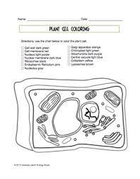 Maybe you would like to learn more about one of these? Plant Cell Coloring Sheet By Biology Roots Teachers Pay Teachers
