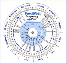 Pin On Human Fertility