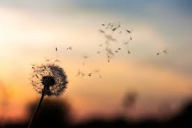 Chords for sunt plin de bucurie.: Lista Cu Motive De Bucurie Blog In Tandem